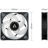 ARCTIC P12 PWM PST RGB 0dB Carcasa del ordenador Ventilador 12 cm Negro, Blanco 1 pieza(s) negro/Transparente, Ventilador, 12 cm, 2000 RPM, 48,8 cfm, 82,91 m³/h, Negro, Blanco