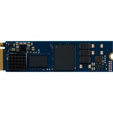 Kingston DC2000B 960 GB, Unidad de estado sólido 