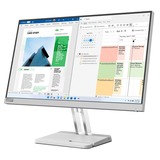 Lenovo L25e-40(H22245FL0), Monitor LED gris