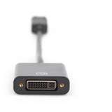 Digitus Adaptador / Convertidor DisplayPort > DVI negro