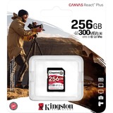 Kingston Canvas React Plus 256 GB SD UHS-II Clase 10, Tarjeta de memoria negro, 256 GB, SD, Clase 10, UHS-II, 300 MB/s, 260 MB/s
