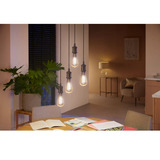 Philips Hue White Ambiance Filament Lampe E27 Giant Edison ST72 550 lm, Lámpara LED 