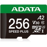 ADATA Speed Plus 256 GB MicroSDXC Clase 10, Tarjeta de memoria 256 GB, MicroSDXC, Clase 10, 180 MB/s, 160 MB/s, Class 3 (U3)