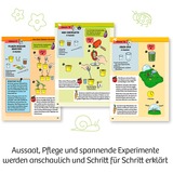 KOSMOS 632083 juguete y kit de ciencia para niños, Caja de experimentos Kit de experimentos, Botánica, 5 año(s), Multicolor