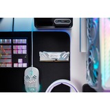 Kingston FURY FURY 32GB 6400MT/s DDR5 CL32 DIMM (Kit de 2) Renegade RGB Blanco XMP, Memoria RAM blanco, 32 GB, 2 x 16 GB, DDR5, 288-pin DIMM