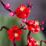 LEGO Botanicals Flor de Ciruelo, Juegos de construcción Juego de construcción, 18 año(s), Plástico, 327 pieza(s), 363 g