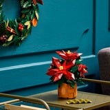 LEGO Flor de Pascua, Juegos de construcción Juego de construcción, 18 año(s), Plástico, 608 pieza(s), 640 g