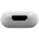 Shelly La pastilla, Módulo de extensión blanco