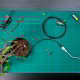 Shelly La pastilla, Módulo de extensión blanco