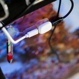 Shelly La pastilla, Módulo de extensión blanco