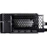 Gainward NE75080019T2-GB2030P, Tarjeta gráfica 