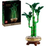 LEGO Botanicals Bambú de la Suerte, Juegos de construcción Juego de construcción, 18 año(s), Plástico, 325 pieza(s), 379 g