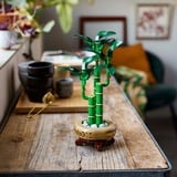 LEGO Botanicals Bambú de la Suerte, Juegos de construcción Juego de construcción, 18 año(s), Plástico, 325 pieza(s), 379 g