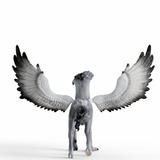 Schleich Harry Potter 13988 figura de juguete para niños, Muñecos 6 año(s), Negro, Blanco, Plástico