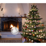 Shelly Paquete navideño 1, Conjunto 