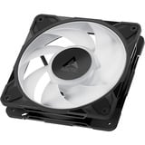 ARCTIC Freezer P12 Pro A-RGB Carcasa del ordenador Ventilador 12 cm Negro, Blanco 1 pieza(s) negro, Ventilador, 12 cm, 131 m³/h, Negro, Blanco