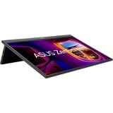 ASUS ZenScreen MB17AHG pantalla para PC 43,9 cm (17.3") 1920 x 1080 Pixeles Full HD LCD Negro, Monitor LED negro, 43,9 cm (17.3"), 1920 x 1080 Pixeles, Full HD, LCD, 5 ms, Negro