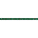 Bosch Regla plegable de madera 2m, Bar verde