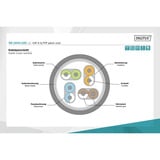 Digitus Cable de parche CAT 6 S/FTP 10m gris