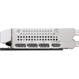 MSI V536-001R, Tarjeta gráfica 