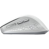 CHERRY JW-8550-0 ratón Universal mano derecha RF inalámbrico Óptico 4000 DPI blanco, mano derecha, Óptico, RF inalámbrico, 4000 DPI, Gris, Blanco