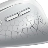 CHERRY JW-8550-0 ratón Universal mano derecha RF inalámbrico Óptico 4000 DPI blanco, mano derecha, Óptico, RF inalámbrico, 4000 DPI, Gris, Blanco