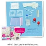 KOSMOS 45872856 juguete y kit de ciencia para niños, Caja de experimentos Kit de experimentos, Cocina, 8 año(s)