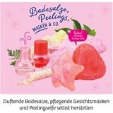 KOSMOS 45872856 juguete y kit de ciencia para niños, Caja de experimentos Kit de experimentos, Cocina, 8 año(s)