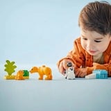 LEGO DUPLO Familias de la Fauna Salvaje: Pingüinos y Leones, Juegos de construcción Juego de construcción, 2 año(s), Plástico, 10 pieza(s), 179 g
