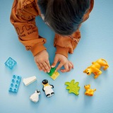 LEGO DUPLO Familias de la Fauna Salvaje: Pingüinos y Leones, Juegos de construcción Juego de construcción, 2 año(s), Plástico, 10 pieza(s), 179 g