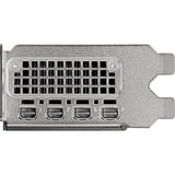 PNY NVIDIA RTX 2000 Ada Generation 16GB SB, Tarjeta gráfica 