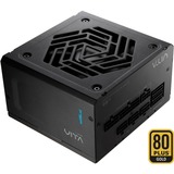 FSP VITA GM 650W, Fuente de alimentación de PC 