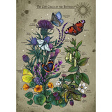 Ravensburger Puzzle - Círculo de la vida Mariposa 