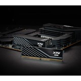 ADATA LANCER BLADE módulo de memoria 32 GB 2 x 16 GB DDR5 ECC, Memoria RAM negro, 32 GB, 2 x 16 GB, DDR5, 6000 MHz, 288-pin DIMM, Negro