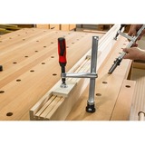 BESSEY Elemento de sujeción TW16-20-10-2K, Gato plateado/Rojo