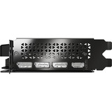 PNY GeForce RTX 5060 Dual Fan 8GB, Tarjeta gráfica 