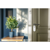 Aqara Cerradura inteligente U200 Lite, cerradura electrónica de la puerta blanco