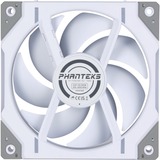 Phanteks PH-F120D30R_DRGB_PWM_WT01_3P, Ventilador blanco