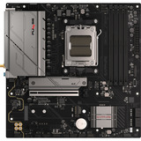 SAPPHIRE 52123-04-40G, Placa base 