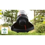 Bosch BrushCut tijera de césped inalámbrica 2,4 mm 36 V Ión de litio Verde, Cortabordes verde/Negro, 2,4 mm, Acero inoxidable, 4500 RPM, 33 cm, Verde, Ión de litio