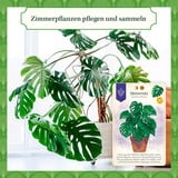 KOSMOS FKS6832450 juego de tablero Juego de mesa Estrategia Juego de mesa, Estrategia, 10 año(s), Juego familiar