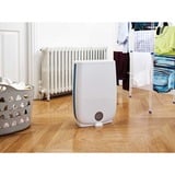 Meaco Deshumidificador DD8L ION, con ionizador y nano-filtro blanco