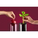 nutribullet Extractor Pro NBJ200G, Licuadora plateado/Gris