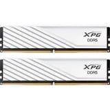 ADATA DIMM 16 GB DDR5-5600 (2x 8 GB) Dual-Kit, Memoria RAM blanco