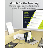 goobay Cable adaptador USB, conector USB-C > conector DisplayPort, 4K 60Hz negro/Plateado