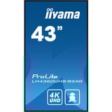 iiyama LH4360UHS-B2AG, Pantalla de gran formato negro (mate)