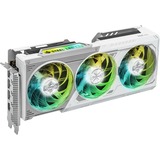 ASRock Intel® Arc B580 Steel Legend 12GB OC, Tarjeta gráfica 