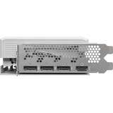 ASRock Intel® Arc B580 Steel Legend 12GB OC, Tarjeta gráfica 