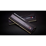 G.Skill F5-6400J3239F24GX2-TZ5RK, Memoria RAM negro