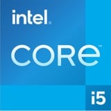 Intel® Core i5-12400F procesador 18 MB Smart Cache Intel® Core™ i5, LGA 1700, Intel, i5-12400F, 64 bits, Intel® Core™ i5 de 12ma Generación, Tray